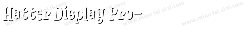 Hatter Display Pro字体转换